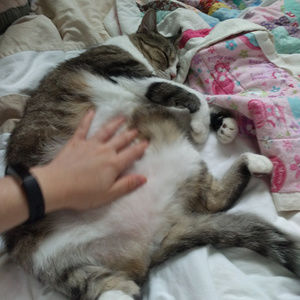 Meet your Posher, Alice